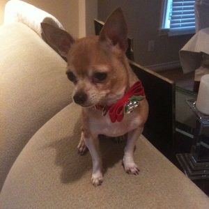 Meet your Posher, Elizabeth